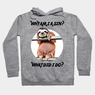 SLOTH ASKS: Why Am I A Sin? What Did I Do? Hoodie